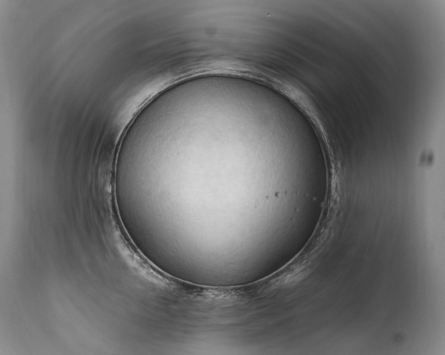 X0000111950954200907271433