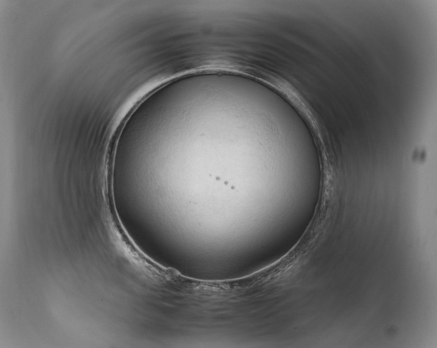 X0000111950955200907271433