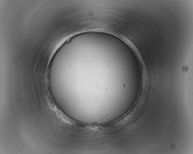 X0000111950956200907271433