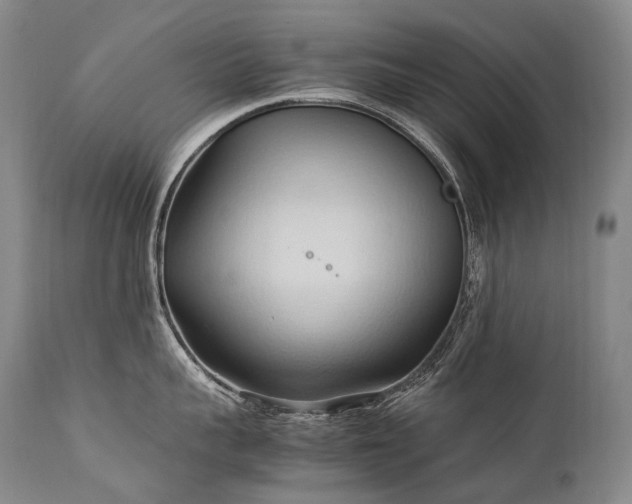 X0000111950959200907271433