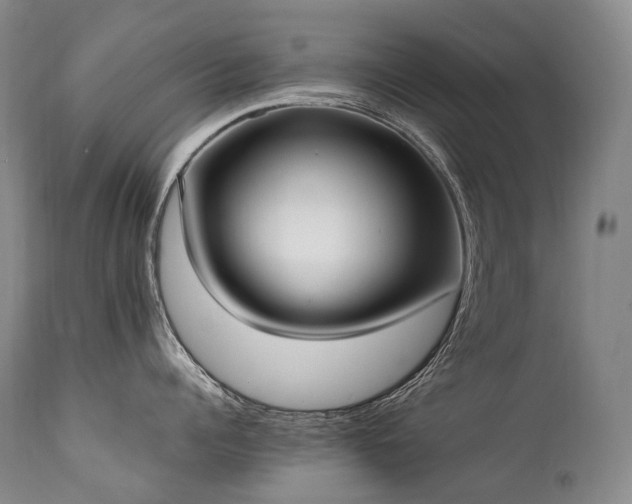 X0000111950960200907271433
