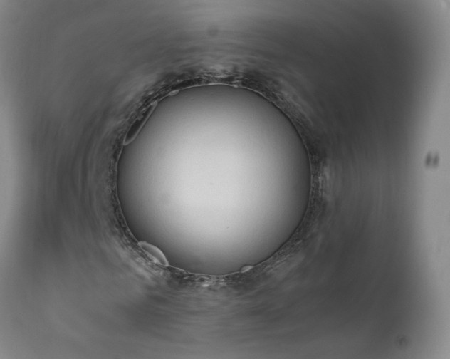 X0000111950961200907271433