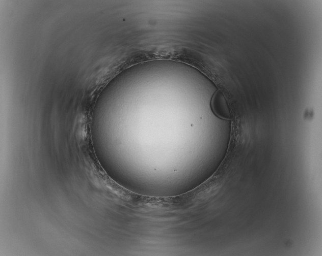 X0000111950962200907271433