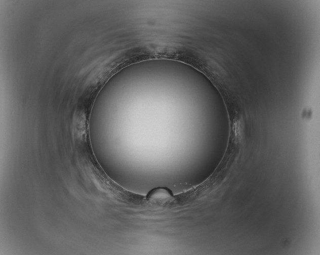 X0000111950963200907271433