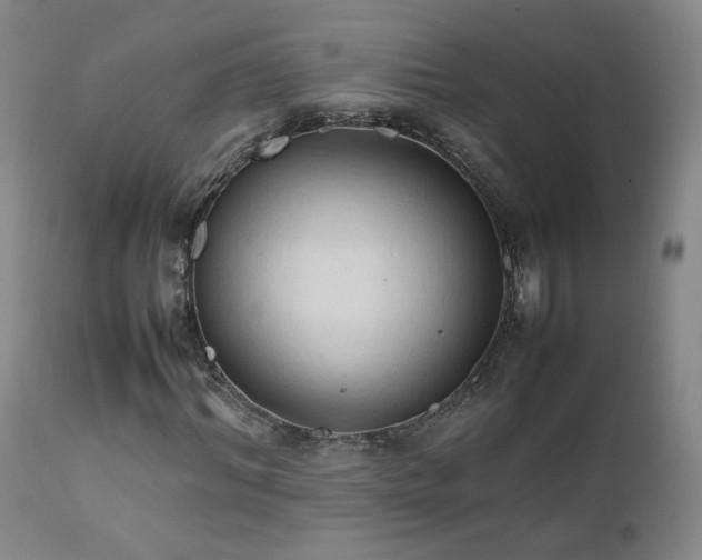 X0000111950964200907271433