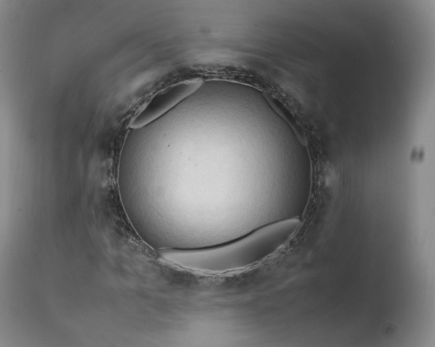 X0000111950965200907271433