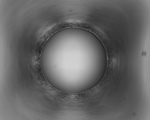 X0000111950966200907271433