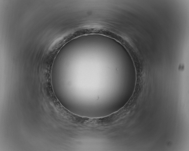 X0000111950967200907271433
