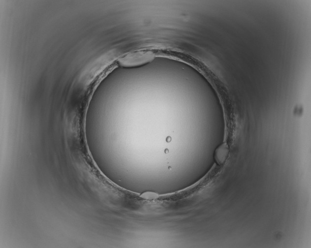 X0000111950969200907271433