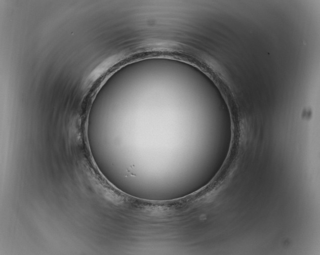 X0000111950970200907271433