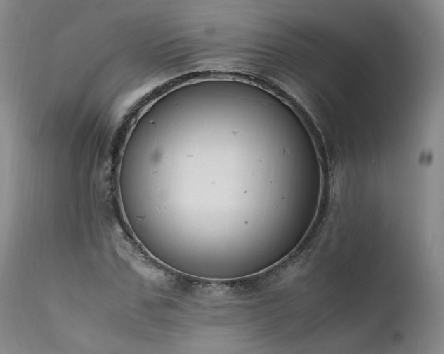X0000111950971200907271433
