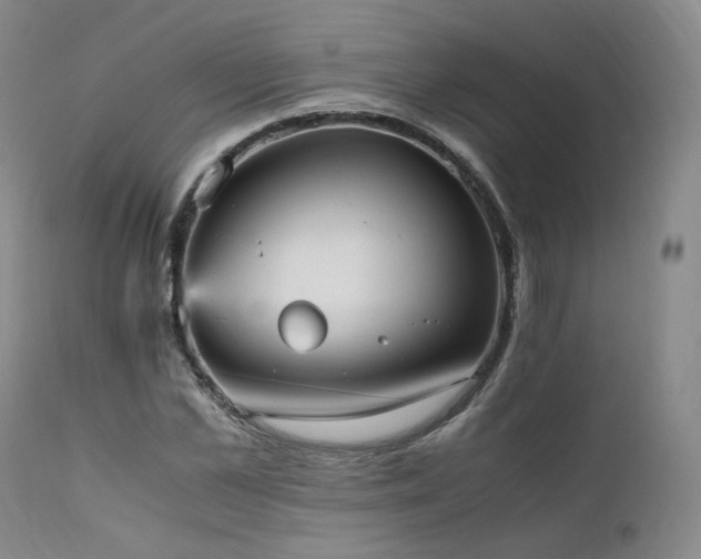 X0000111950973200907271433