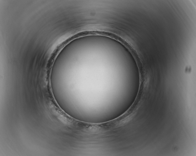 X0000111950974200907271433
