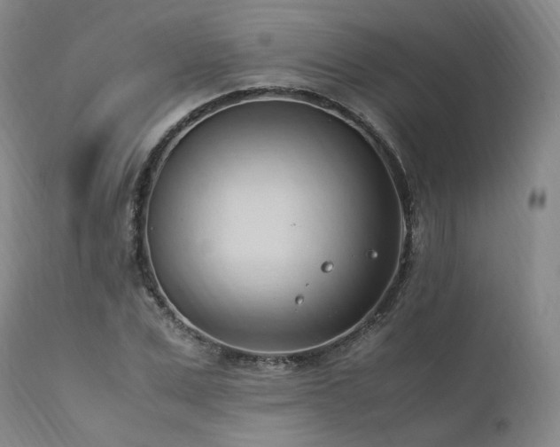 X0000111950975200907271433