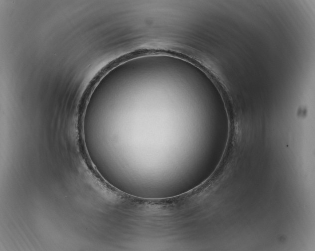 X0000111950976200907271433