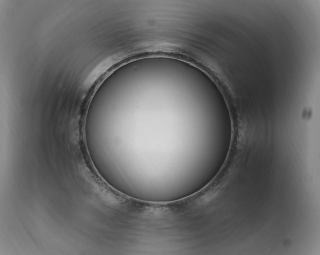 X0000111950978200907271433
