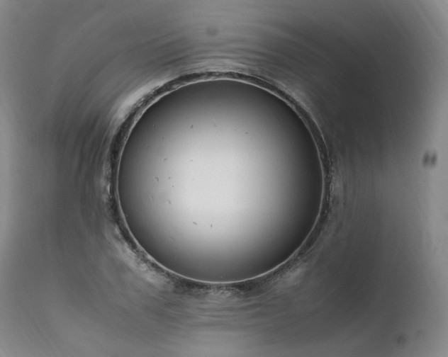 X0000111950979200907271433