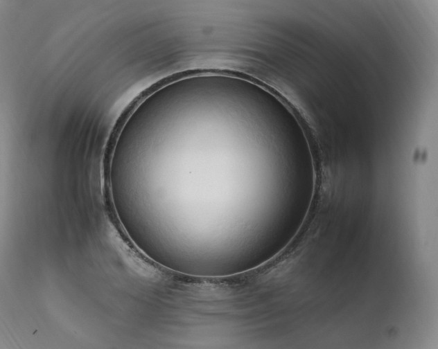X0000111950980200907271433