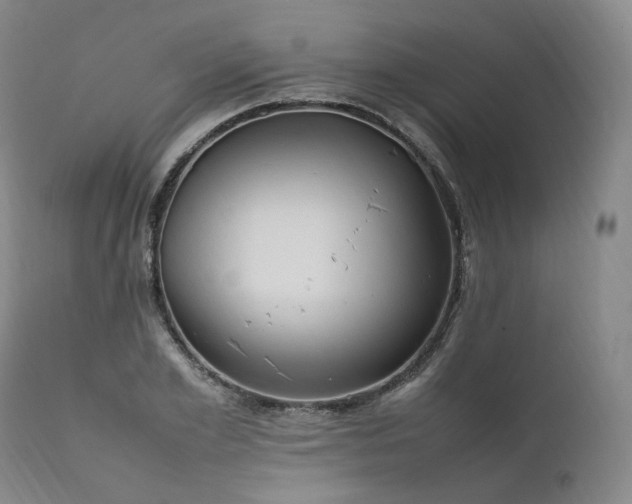 X0000111950981200907271433