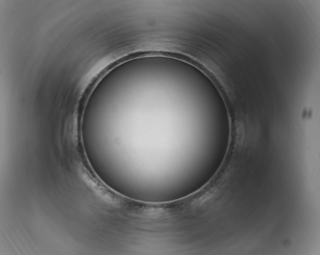 X0000111950982200907271433