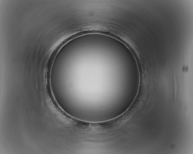 X0000111950983200907271433