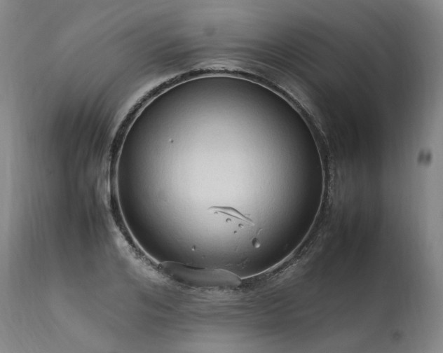 X0000111950984200907271432