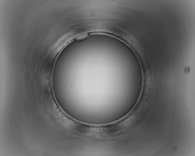 X0000111950985200907271432