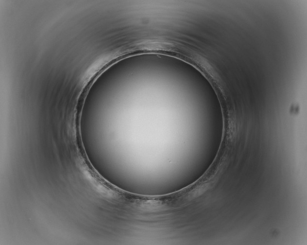 X0000111950986200907271432