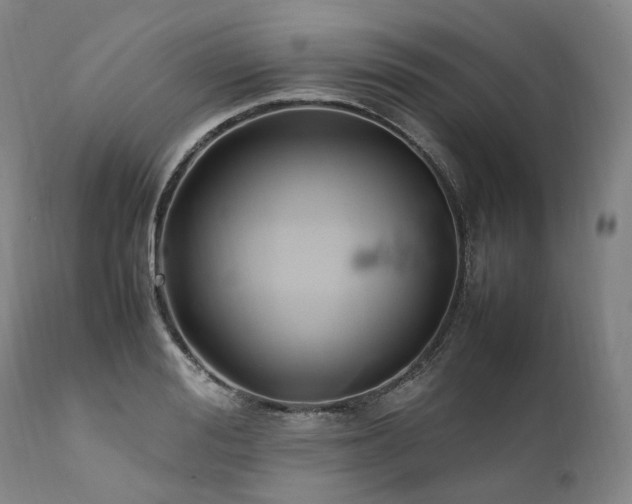 X0000111950988200907271432