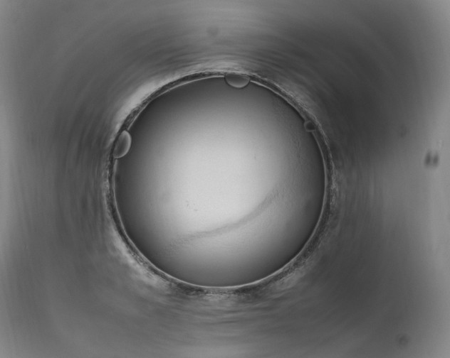 X0000111950989200907271432