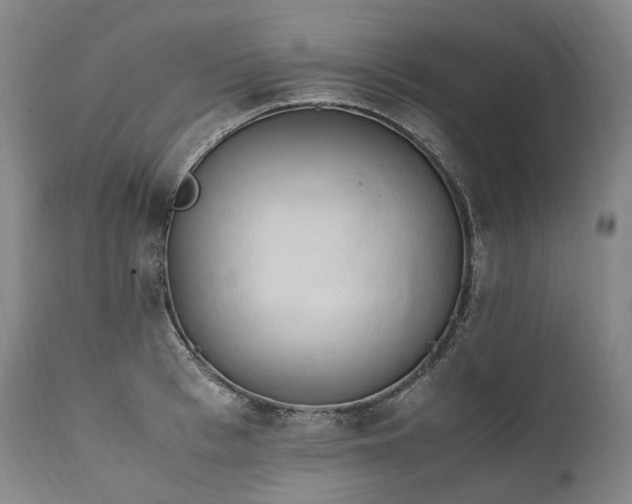 X0000111950993200907271432