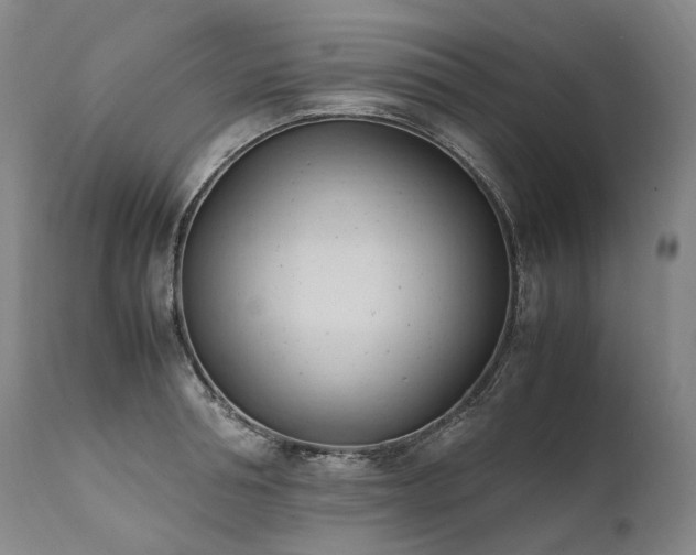 X0000111950994200907271432