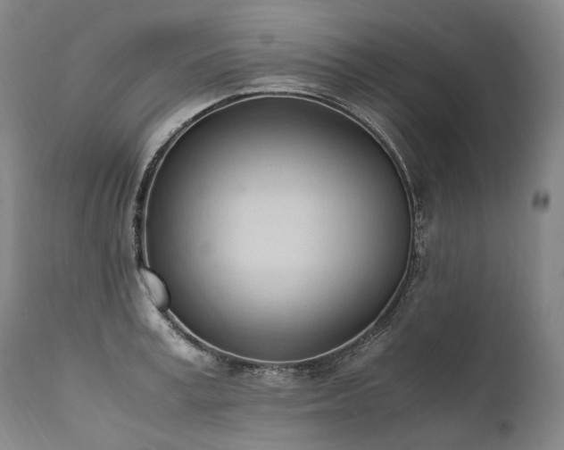 X0000111950995200907271432