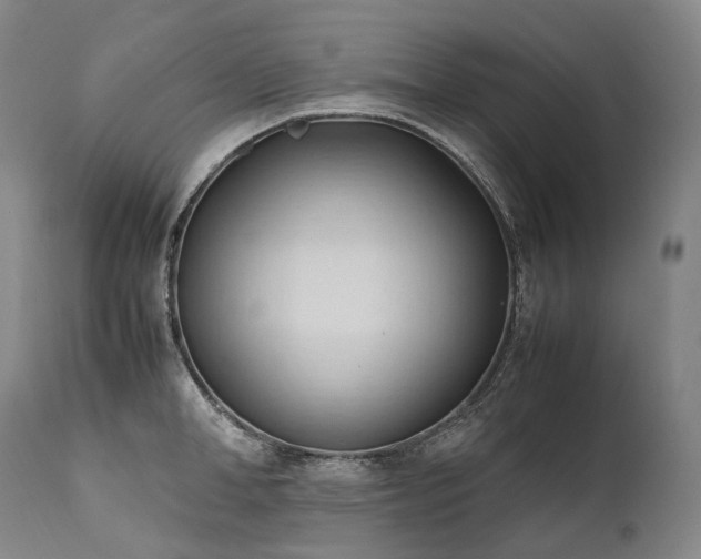 X0000111950998200907271432
