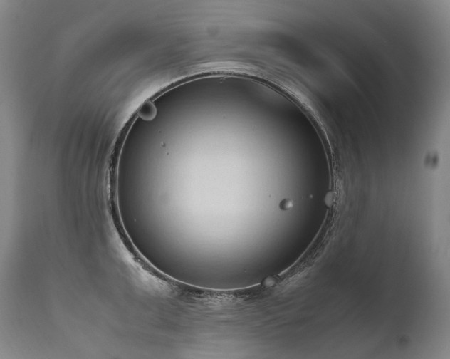 X0000111950999200907271432