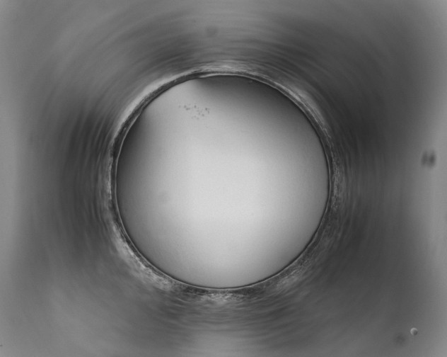 X0000111951000200907271432