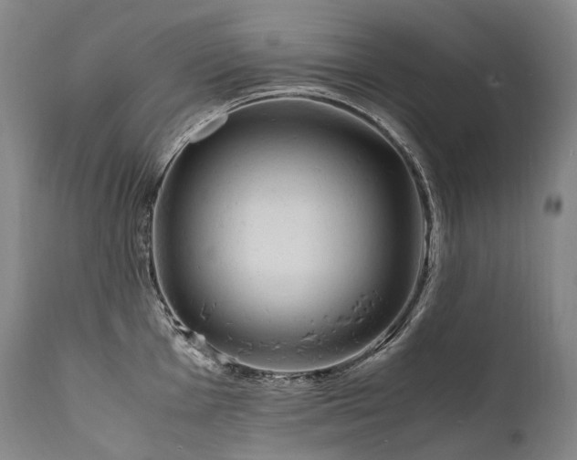 X0000111951001200907271432