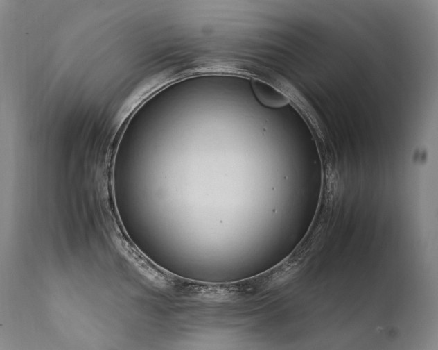 X0000111951002200907271432