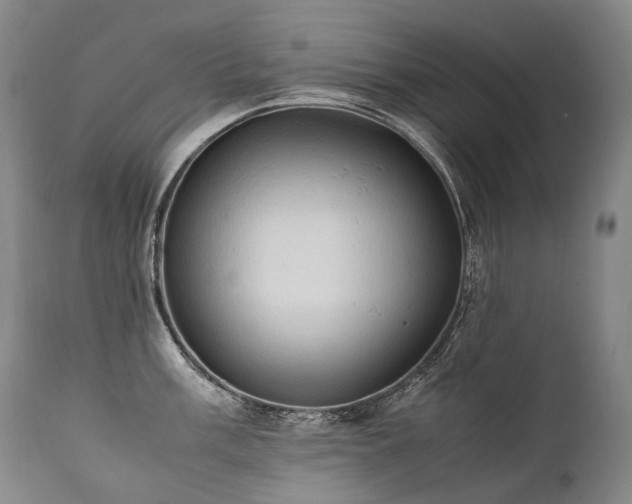 X0000111951003200907271432