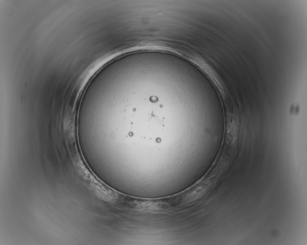 X0000111951004200907271432