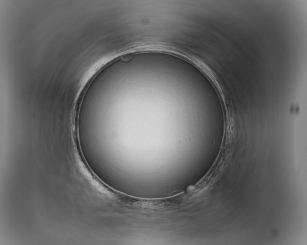 X0000111951005200907271432