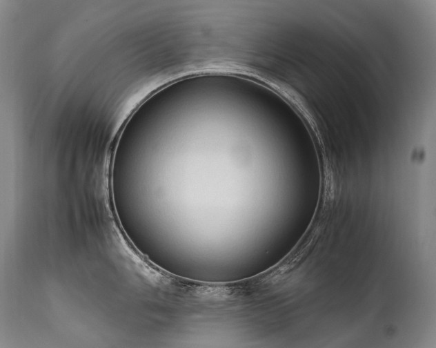 X0000111951006200907271432