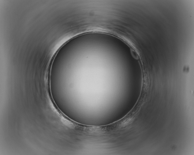 X0000111951007200907271432