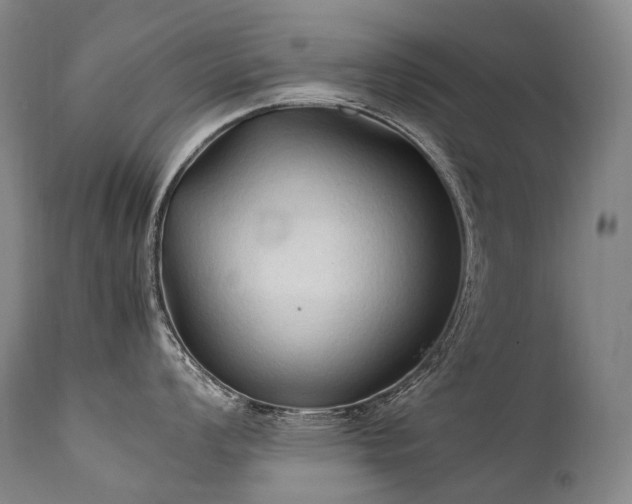 X0000111951008200907271432