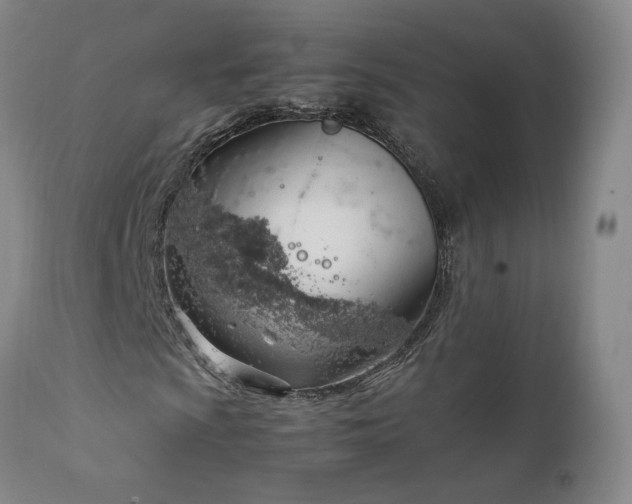 X0000111951009200907271431