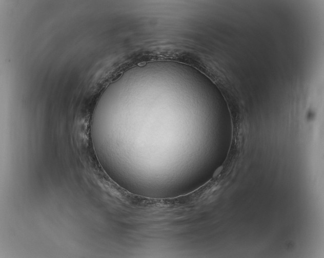X0000111951010200907271432