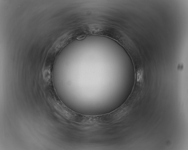 X0000111951011200907271432