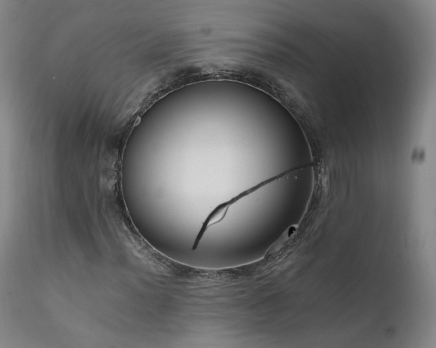X0000111951012200907271432