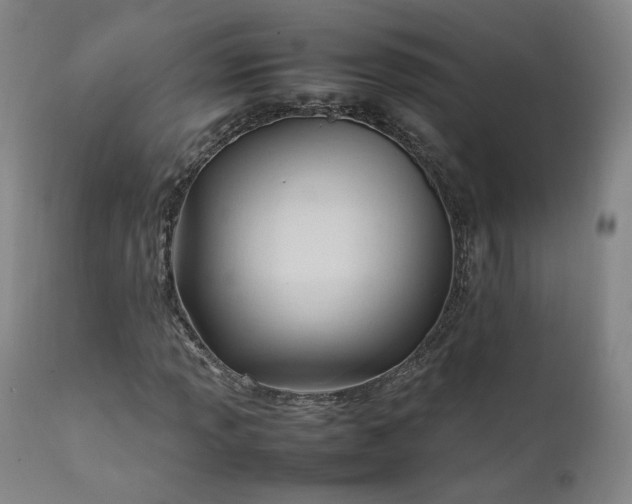 X0000111951013200907271432