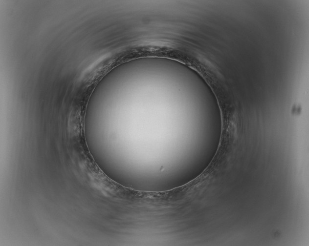 X0000111951014200907271432